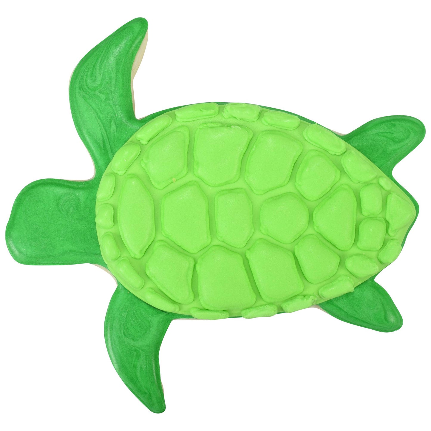 Sea Turtle Cookie Cutter, 5"- R&M International