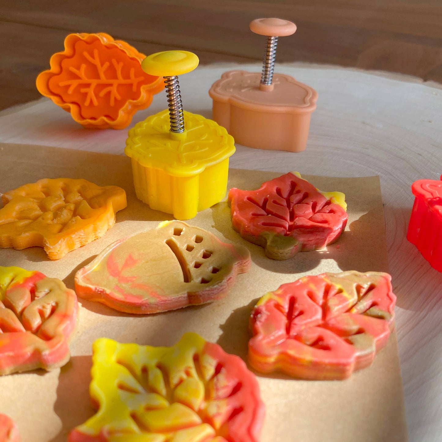 Leaves Pastry & Cookie Stampers Set of 4