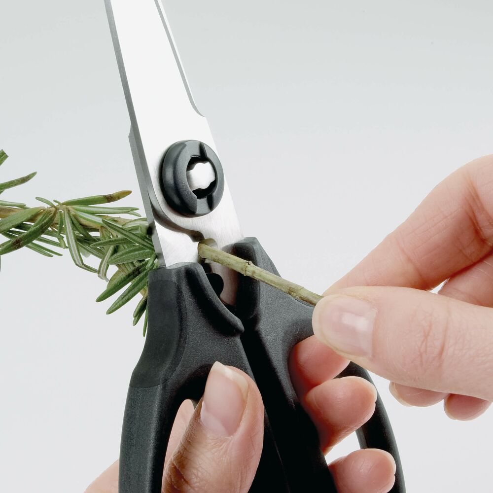 Kitchen & Herb Scissors- OXO