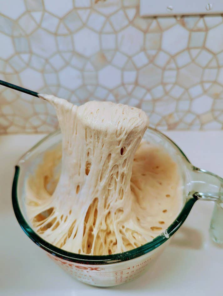 Organic, Non-GMO Sourdough Starter | Freeze Dried |  12gm - My Rustic Roots