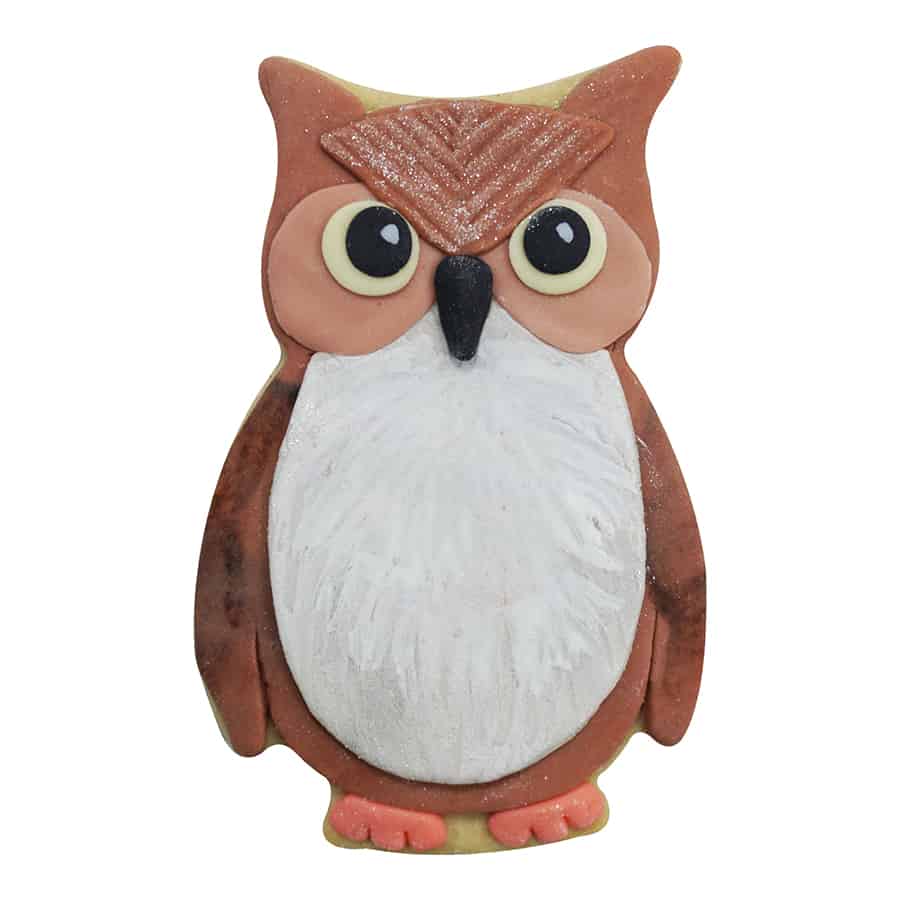 Owl Cookie Cutter, 3.75"- R&M