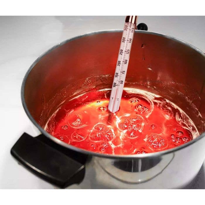 Candy & Deep Fry Thermometer – Easy-Read 100°–390°F - Harold Import Co.