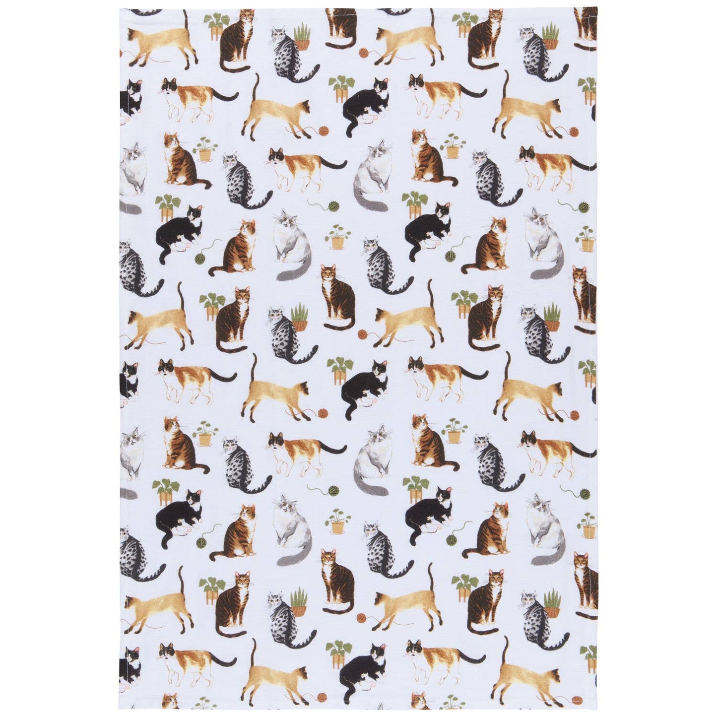 Cat Collective Bakers Floursack Dishtowels Set of 3 - Now Designs by Danica