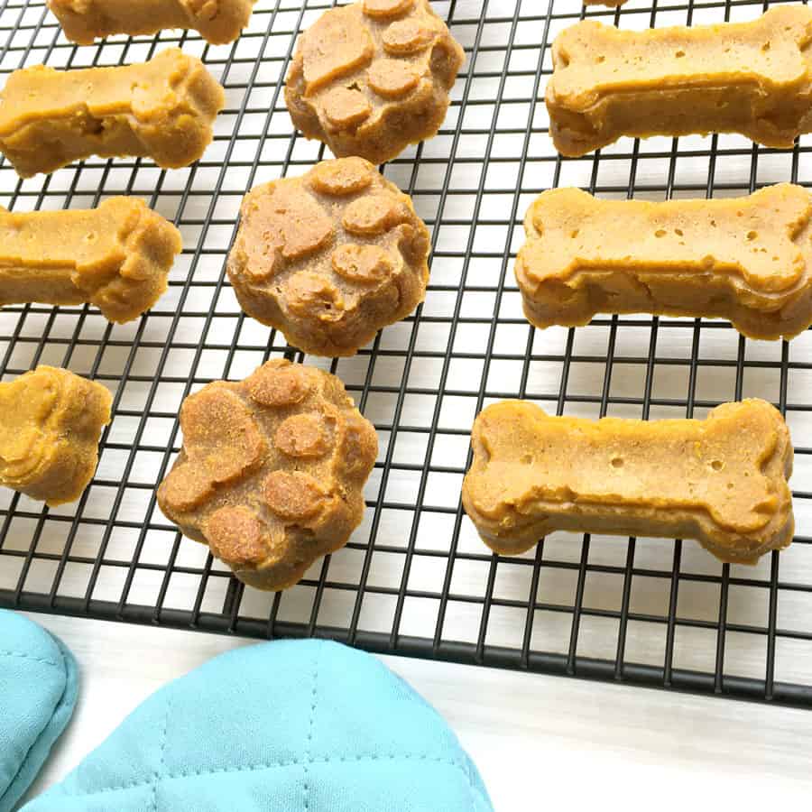 Paw Print Pet Treat Silicone Mold - R&M International