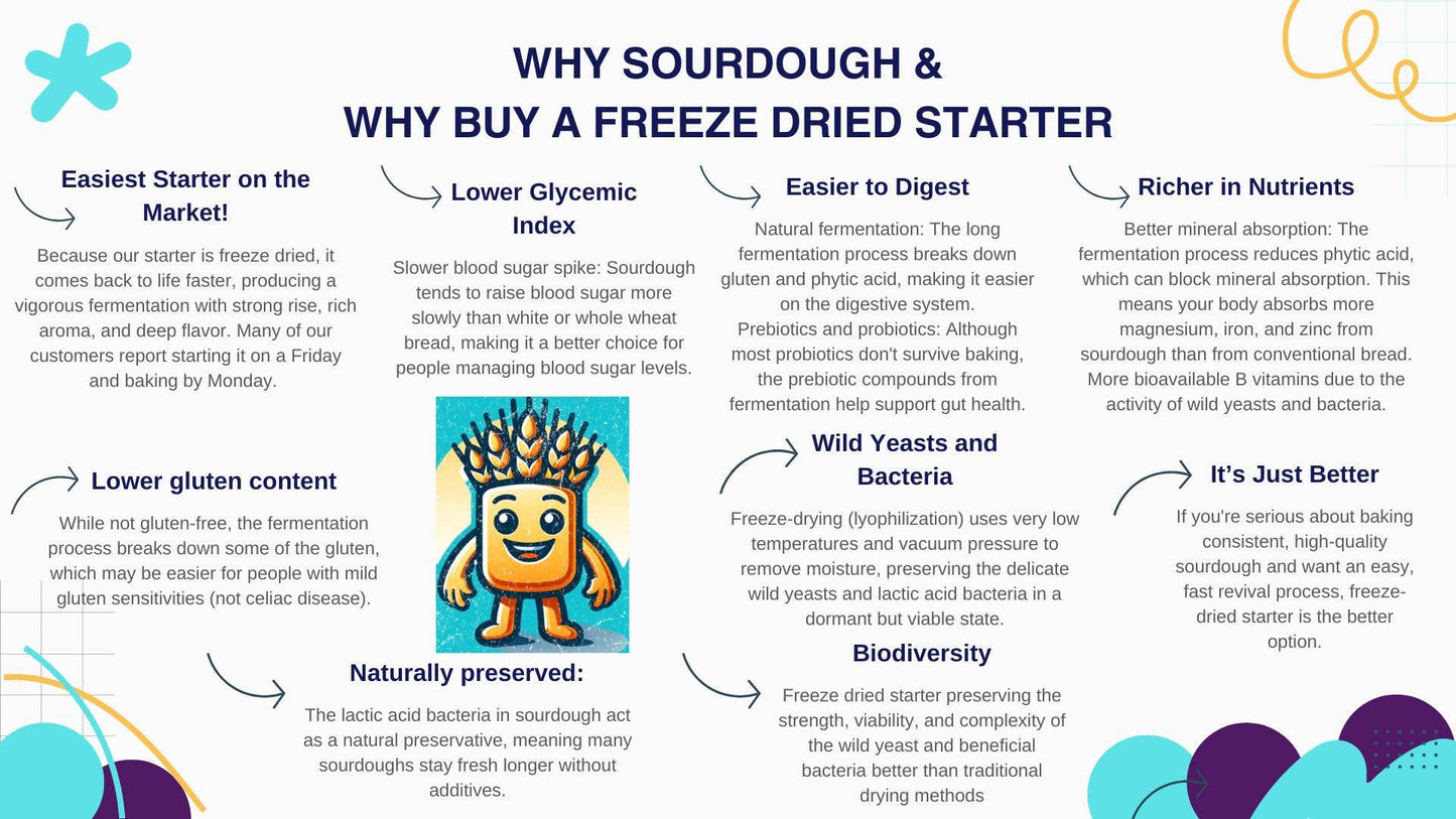 Organic, Non-GMO Sourdough Starter | Freeze Dried |  12gm - My Rustic Roots