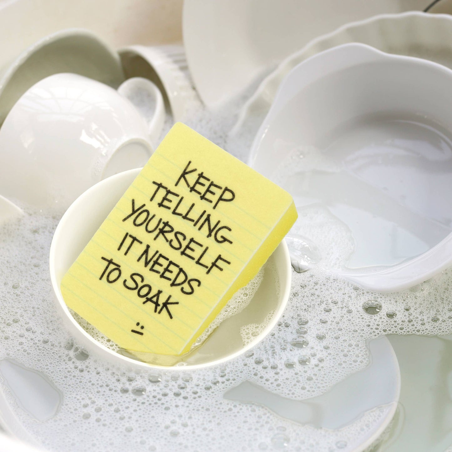 Clean Conscience Sponges- Passive Aggressive Notes