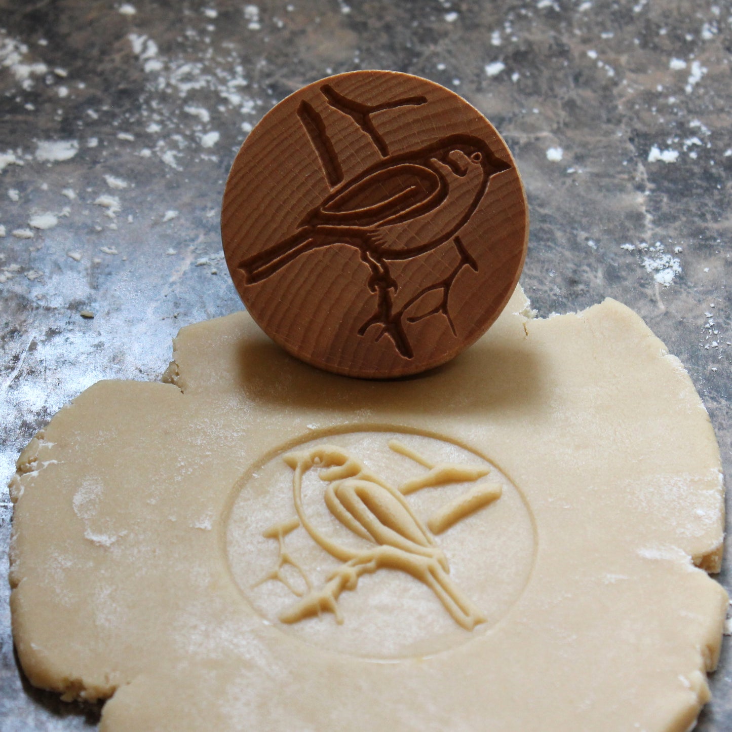 Bird on Branch Cookie Stamp - Fun Food Tools