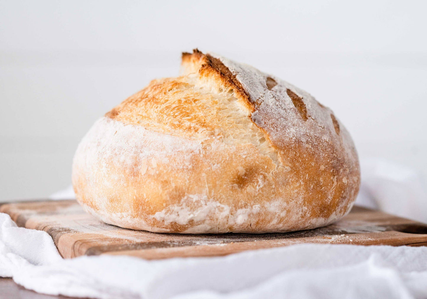 Organic, Non-GMO Sourdough Starter | Freeze Dried |  12gm - My Rustic Roots