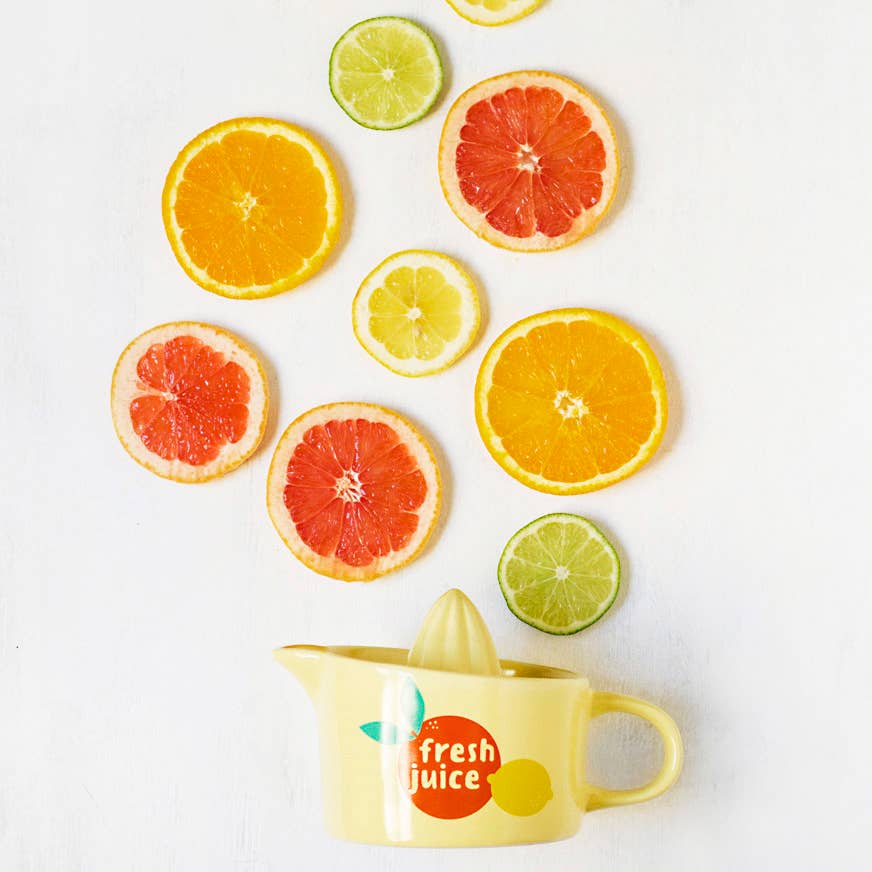 Fresh Juice Ceramic Citrus Juicer - Now Designs by Danica