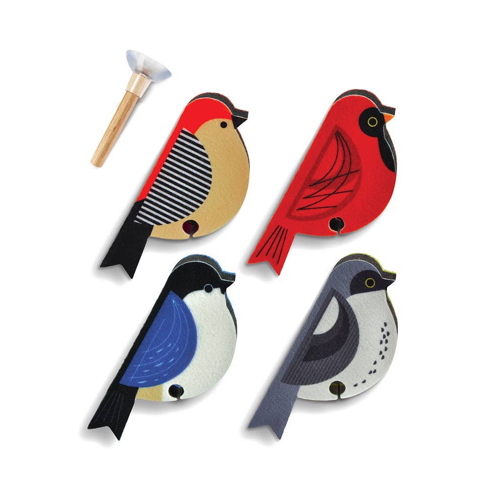 Sponges - Perched- Set of 4 Bird Sponges - Fred & Friends