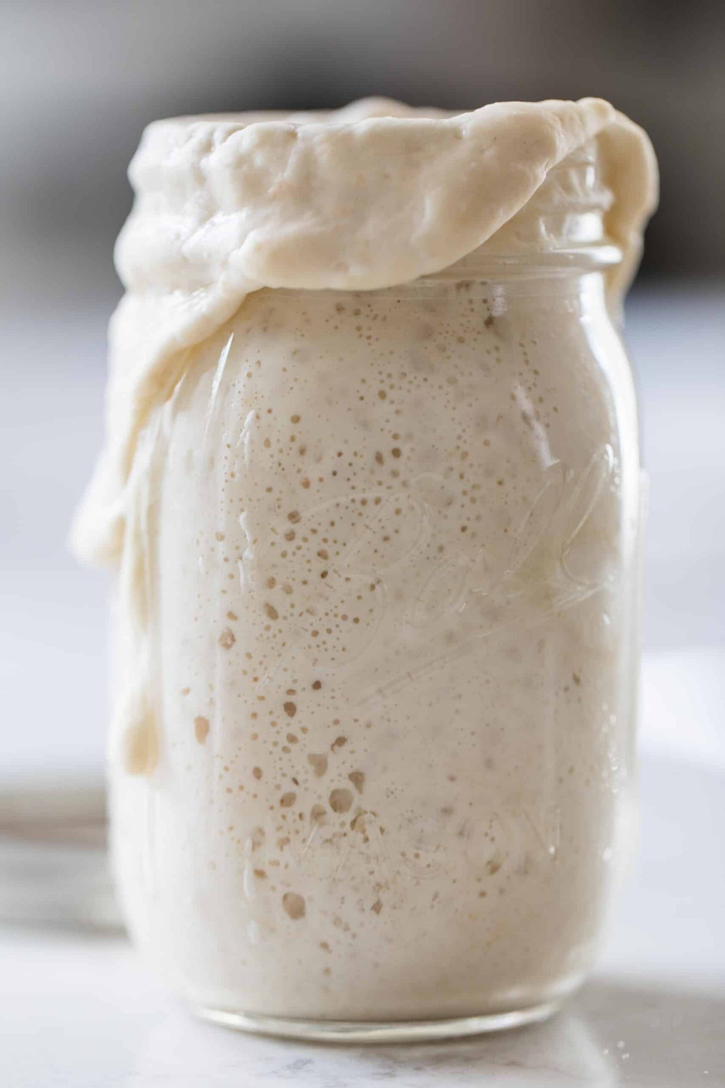 Organic, Non-GMO Sourdough Starter | Freeze Dried |  12gm - My Rustic Roots